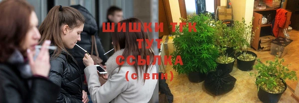 стаф Вяземский