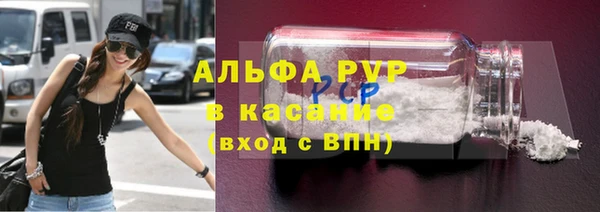 стаф Вяземский