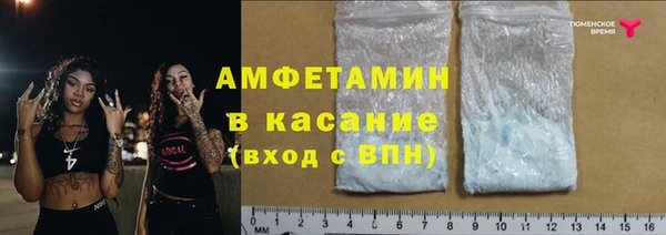 стаф Вяземский