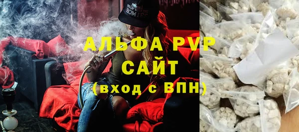 стаф Вяземский