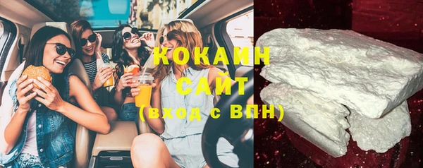 стаф Вяземский