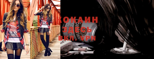 стаф Вяземский