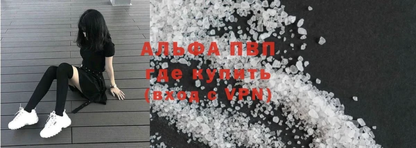 стаф Вяземский