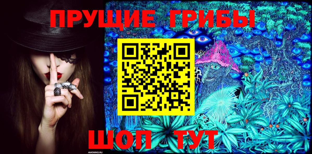 Керчь  Псилоцибиновые грибы MAGIC MUSHROOMS  Вход с VPN  Галлюциногенные грибы Psilocybine cubensis 