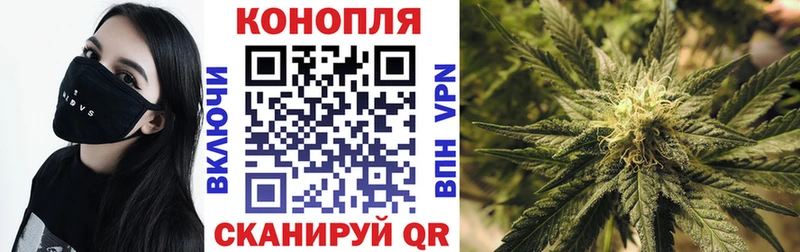Бошки марихуана ГИДРОПОН Керчь